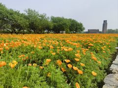 -江苏三台山国家森林公园