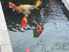 -西安市广仁寺
