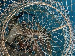 -SHRIMP CLUB万东餐饮钓虾·清吧