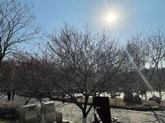 -太子山公园(园东路)