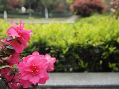 -杭州城北体育公园