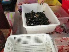 -三道苗苗鱼(三道堰老字号店)