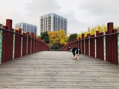 -南翔镇银翔湖公园
