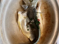 焗海钓小黄鱼-蘇锦宴·淮扬菜烤鸭·小院(三元桥霄云路店)