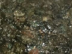 -白金汉爵大酒店(相城店)