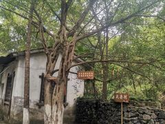 -桂林古东瀑布景区