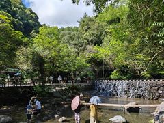 -石台牯牛降景区