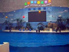 -泉城欧乐堡海洋极地世界