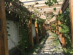 -盛世南宫影视城(北普陀影视城)
