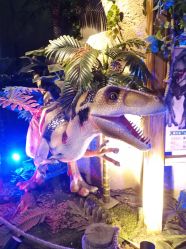 -恐龙探索乐园(磁器口店)