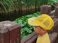 -前关湿地公园
