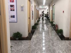 -碧莲盛·不剃发植发