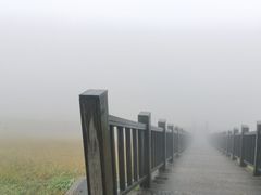 -江南天池