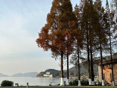 -东钱湖旅游度假区