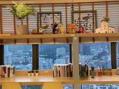 -猫小主咖啡·猫咖cat cafe(福田店)