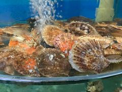 -沿海渔家院蒸汽海鲜·东北菜(东戴河店)