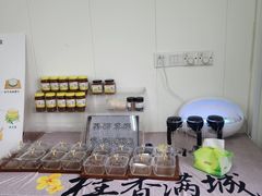 -苏州市吴中区光福窑上花果蜜饯厂