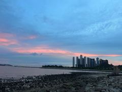 -深圳湾公园(南山区)