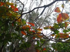 -龙坑生态保护区