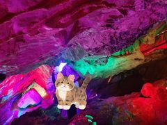 -老君洞旅游度假区