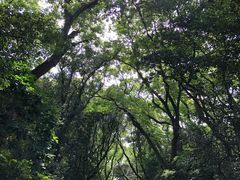 -热田神宫
