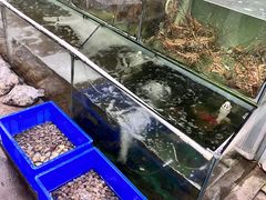 -蚝乡农庄(铁涌赤岸店)