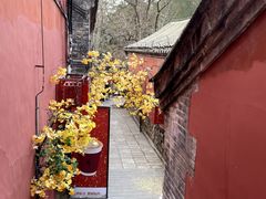 -潭柘寺景区