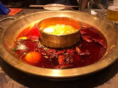 -Xiao Long Kan Hotpot Sydney 小龙坎老火锅