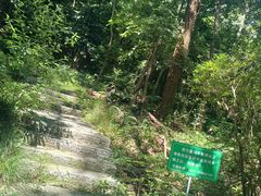 -杭州植物园
