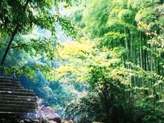 -众神白水涧景区