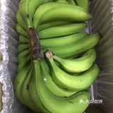 第一次吃到这么好吃的青皮香蕉，奶椰