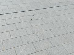 -一叶一世界•素食餐厅(环球中心店)