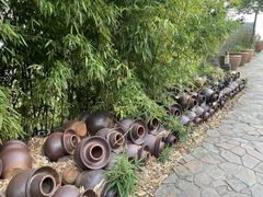 -远山有窑