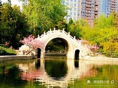 -西海子公园