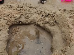 -惠州金海湾嘉华度假酒店