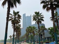 -金沙湖公园