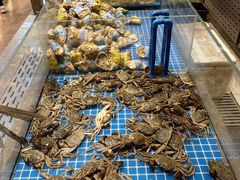 -半岛听涛蒸汽海鲜自助(K11店)