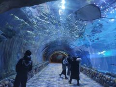 -华夏文旅海洋公园