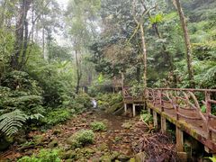-海南热带雨林国家公园吊罗山景区