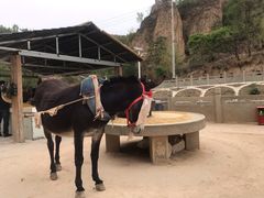 -梁家河村红色旅游区