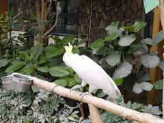 -南宫五洲植物乐园