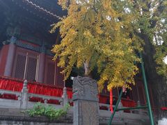 -宝通禅寺