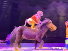 -灵玲国际马戏城
