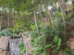 -广州市流溪河国家森林公园