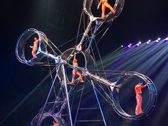 -广州长隆国际大马戏