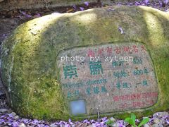 -郑和公园