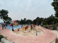 -铁山坪森林公园