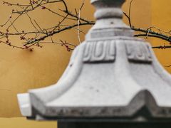-慧因高丽寺