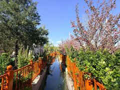 -太阳宫公园