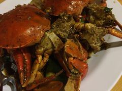 黑胡椒蟹-ZF Seafood Restaurant 卓峰海鲜餐